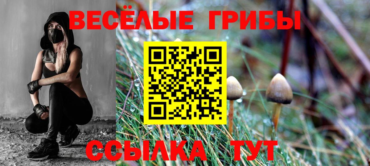 Псилоцибиновые грибы Cubensis  Вход с VPN  Полевской 