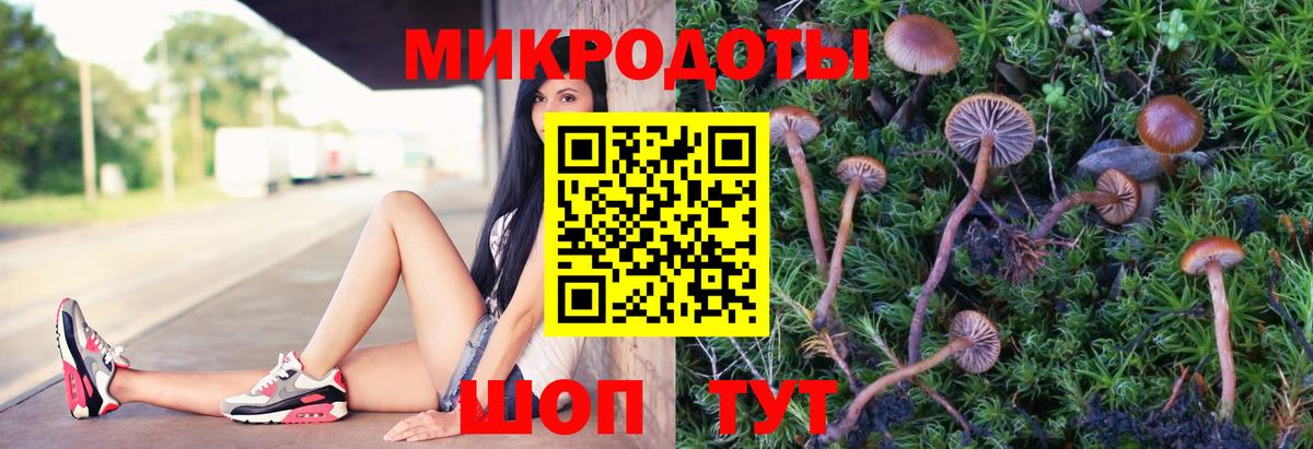 Псилоцибиновые грибы ЛСД Полевской